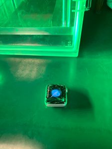 iWatch Broken